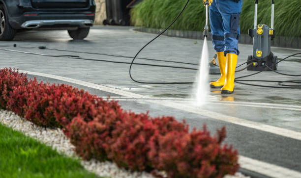 Best Pressure Washing Patio  in Holly Hill, FL